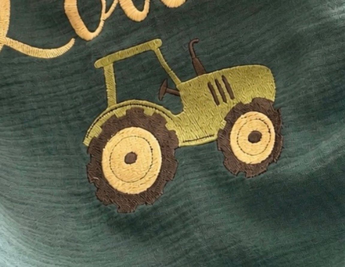 Motif 18