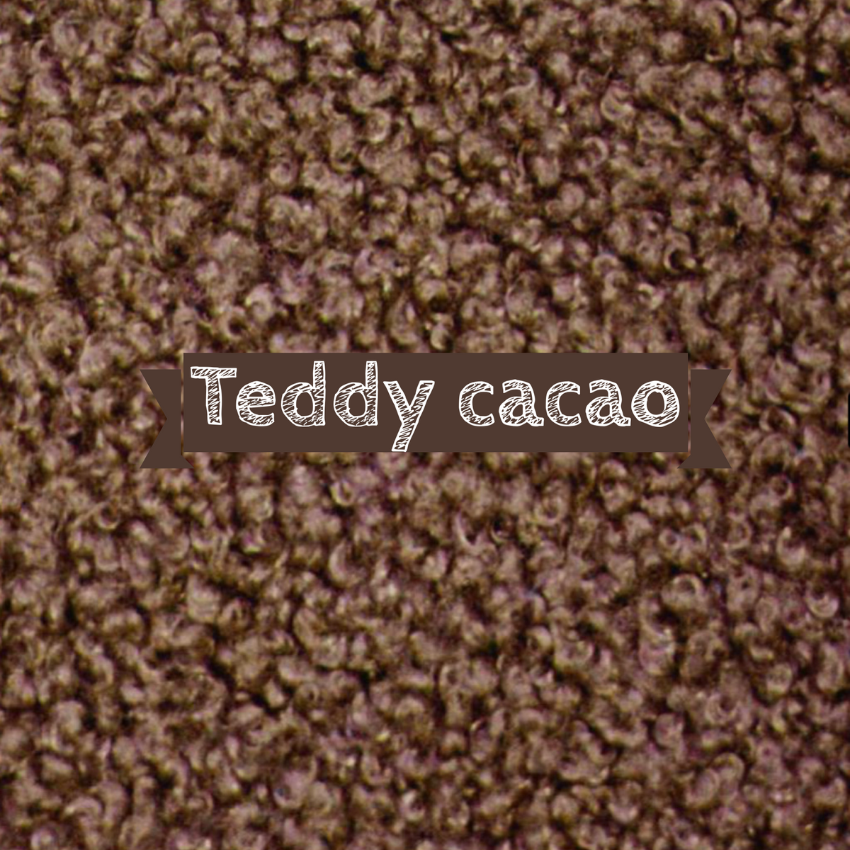 Teddy cacao